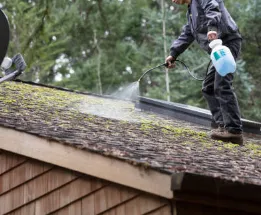 Mould Treatment - Professional roofing service in Perth
