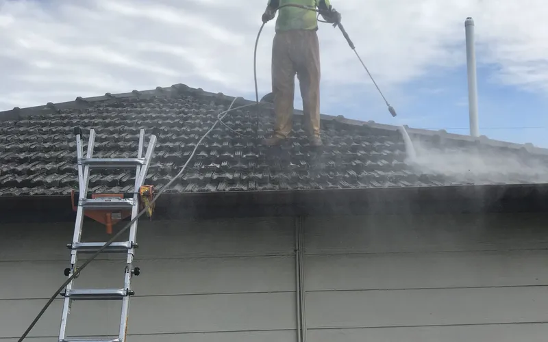 Roof Cleaning - Professional roofing service in Perth